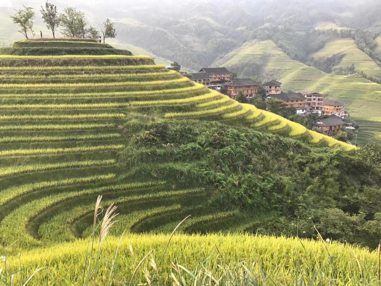 Rice View Villa Longsheng Esterno foto