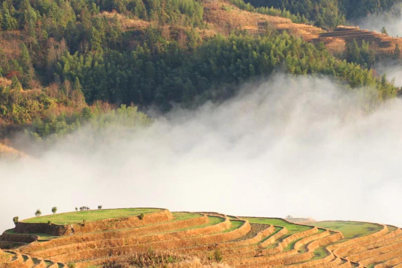 Rice View Villa Longsheng Esterno foto